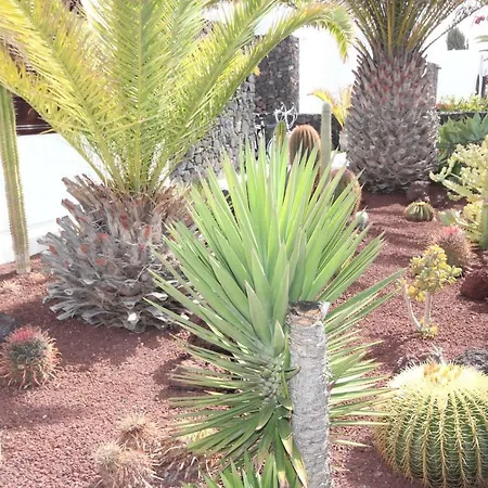 Vila Lanzarote *