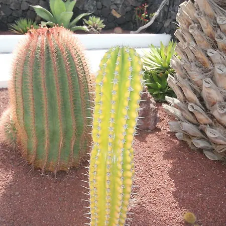Lanzarote
